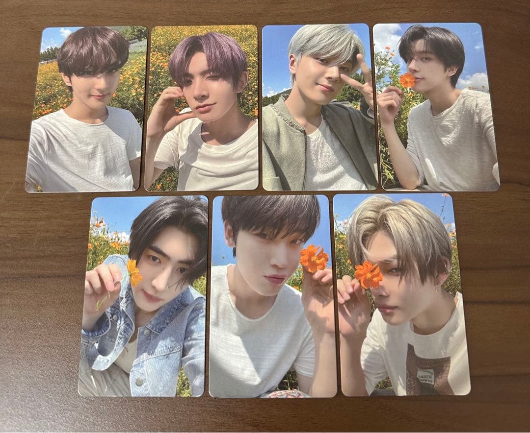 ENHYPEN EN-CONNECT Night ショーケース トレカセット