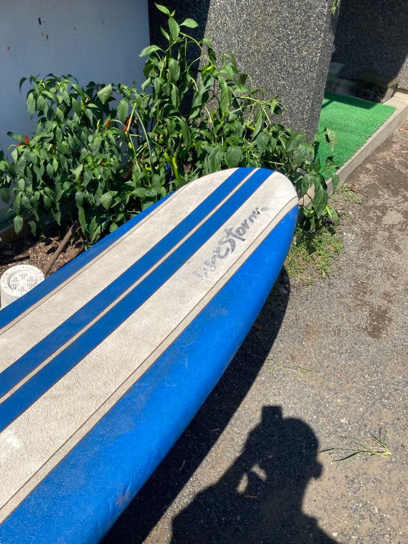 Costco コストコ　サーフボード　スポンジ　８フィート