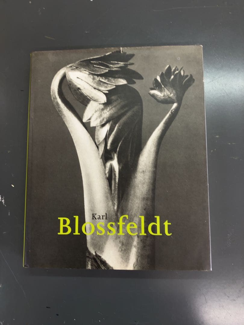 Karl Blossfeldt 植物写真集