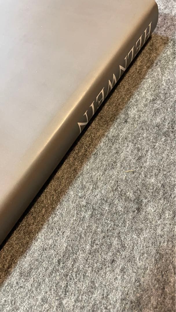 Helnwein ゴットフリート・ヘルンヴァイン 画集 作品集