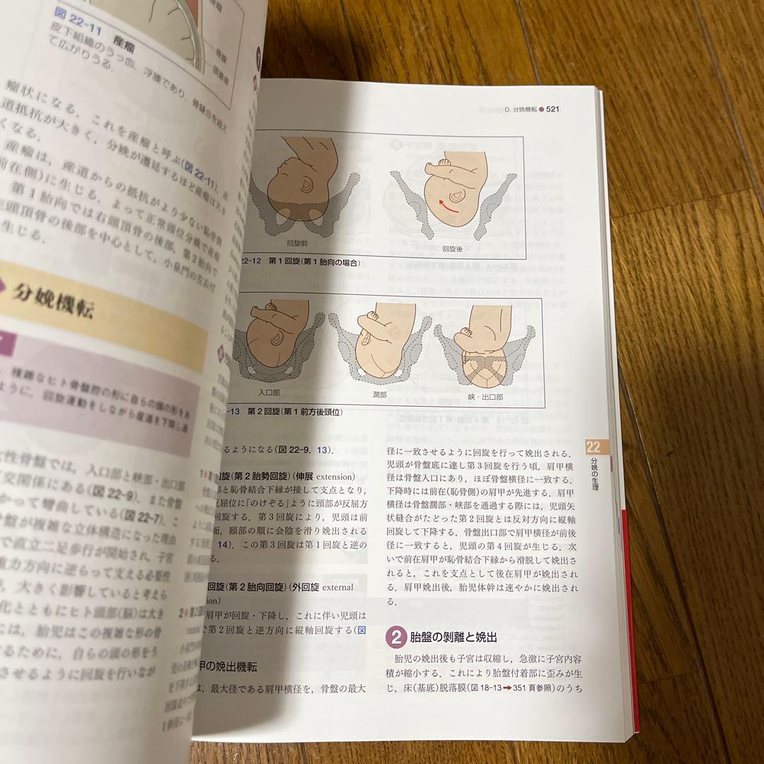 標準産科婦人科学 第5版 (Standard Textbook) 綾部 琢哉