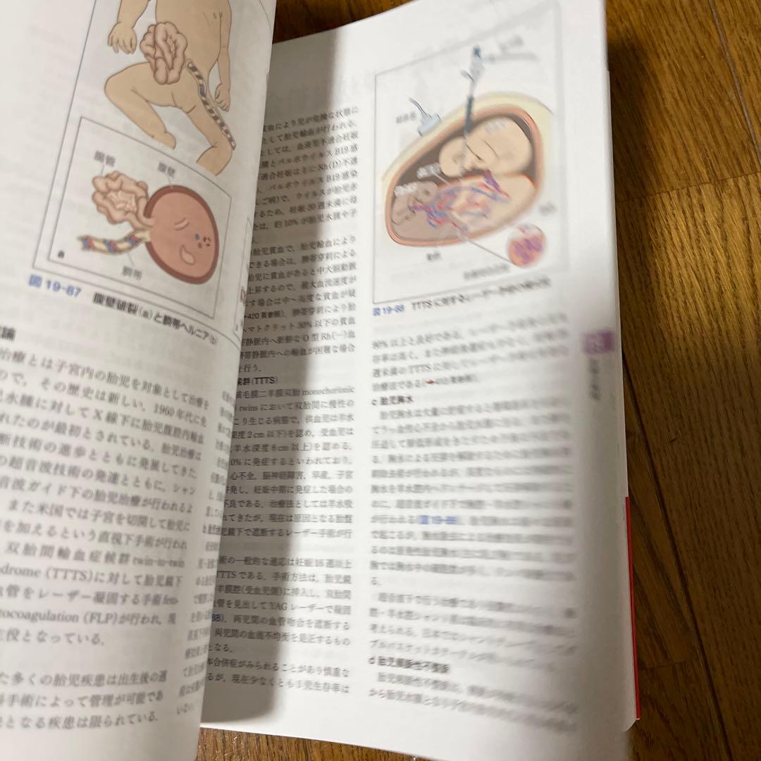 標準産科婦人科学 第5版 (Standard Textbook) 綾部 琢哉