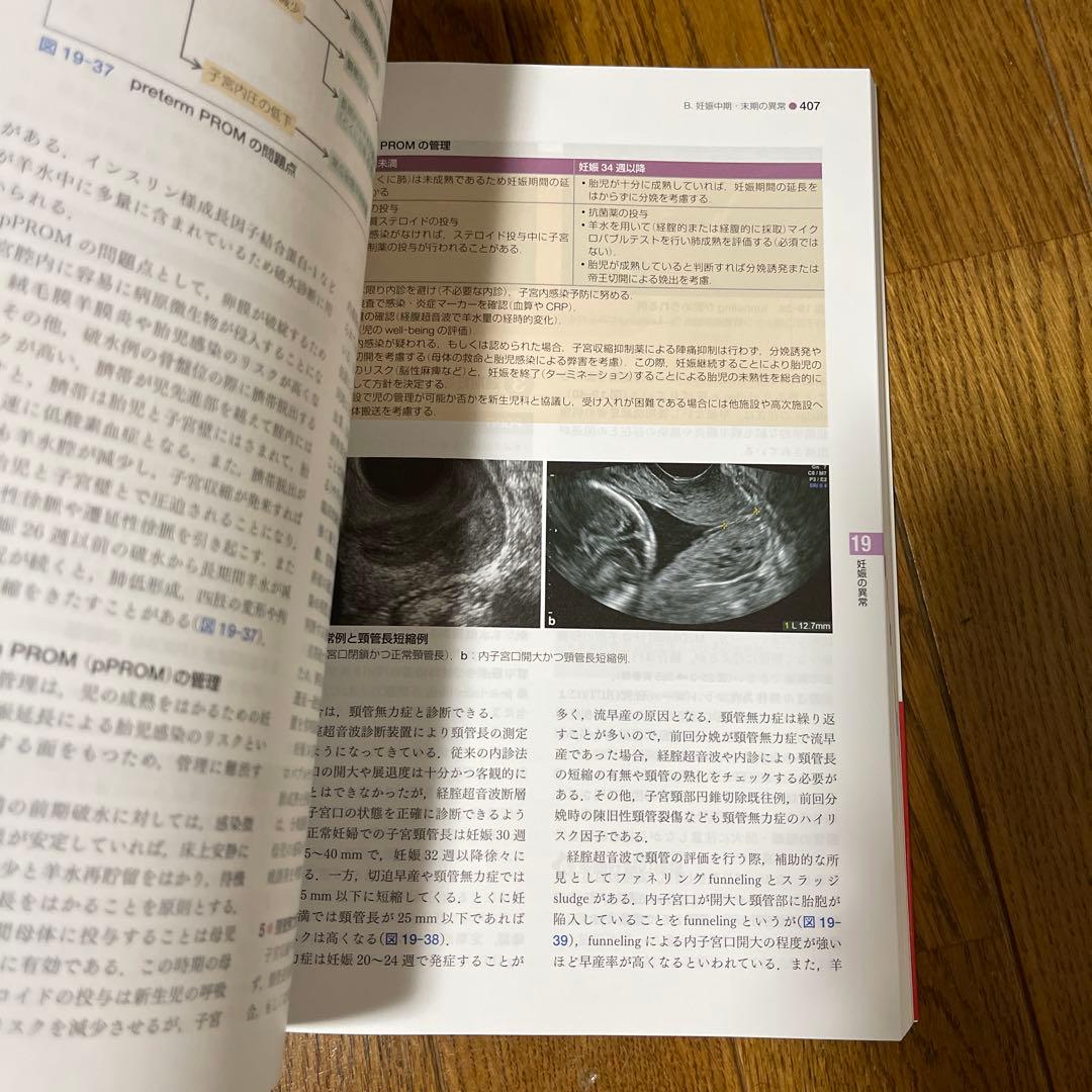 標準産科婦人科学 第5版 (Standard Textbook) 綾部 琢哉