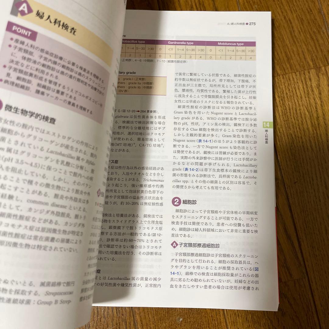 標準産科婦人科学 第5版 (Standard Textbook) 綾部 琢哉