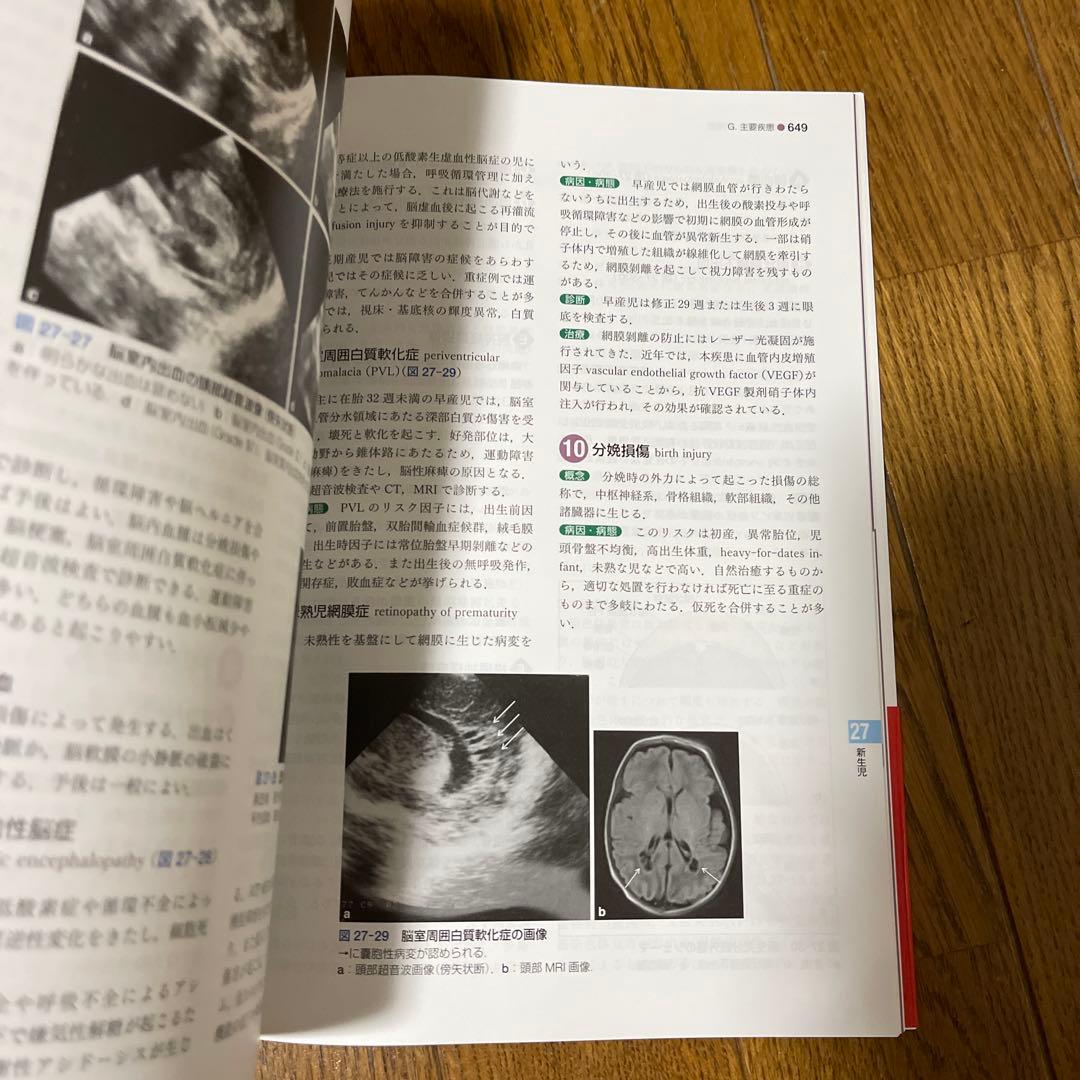 標準産科婦人科学 第5版 (Standard Textbook) 綾部 琢哉