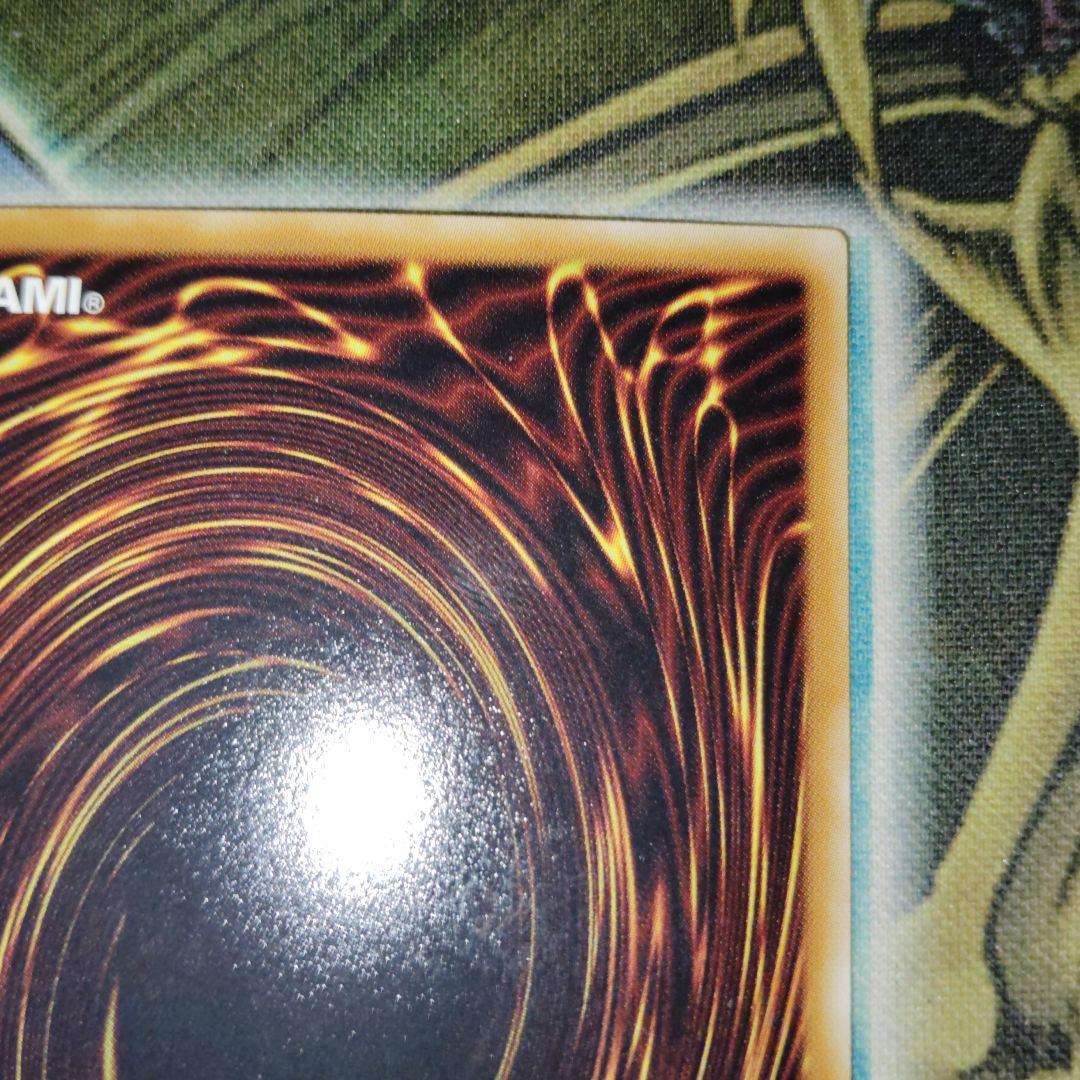 遊戯王 ブラックローズドラゴン ホログラフィック