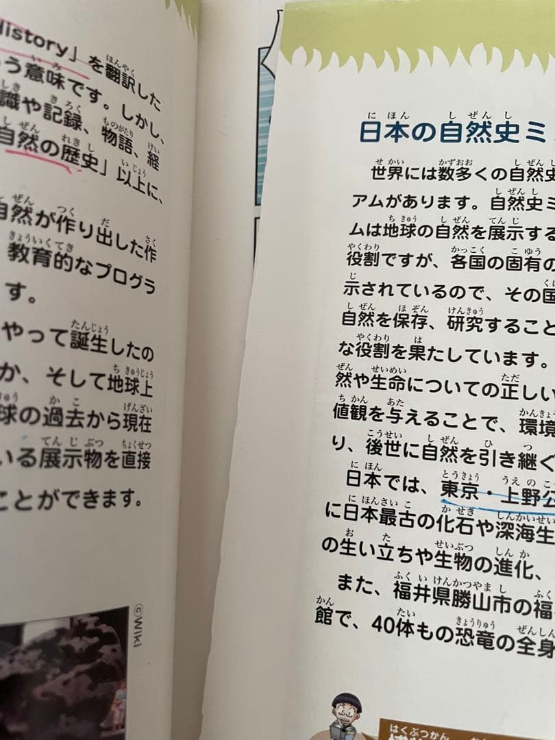 サバイバルシリーズ　40冊セット