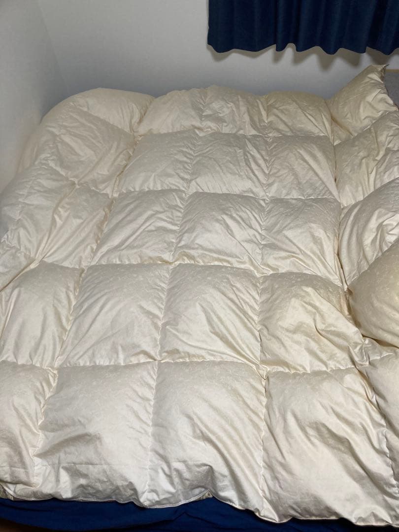 値下げ!【ダウン率95%】クイーンサイズ掛け布団(210×210)