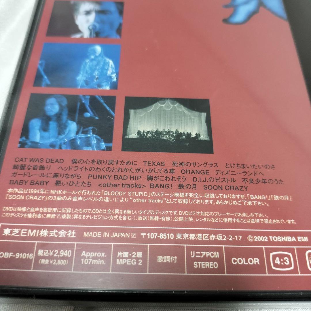 新品未開封 DVD Blankey Jet City Angel Fish