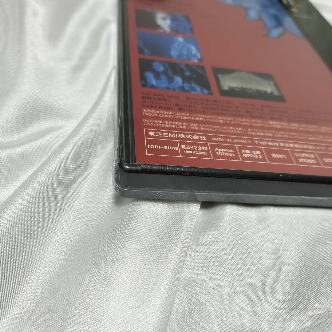 新品未開封 DVD Blankey Jet City Angel Fish