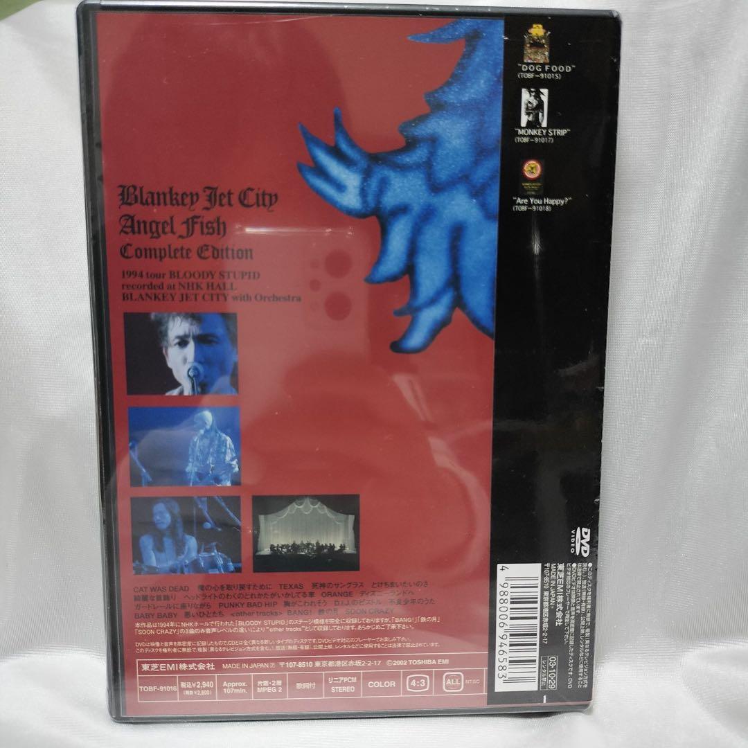 新品未開封 DVD Blankey Jet City Angel Fish