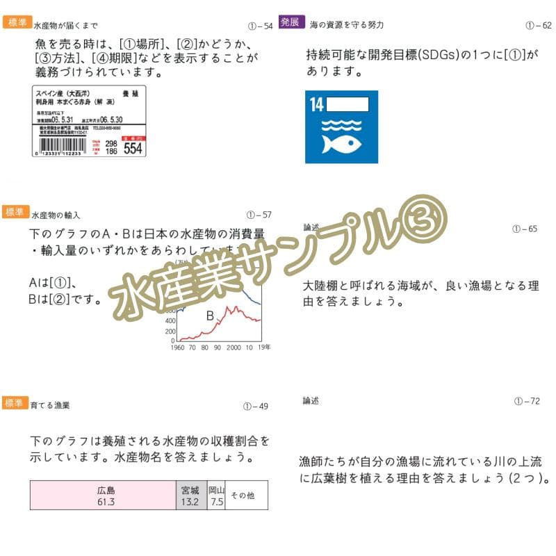中学受験 暗記カード　極める地理(分野別)　サピックス　コアプラス　予習シリーズ