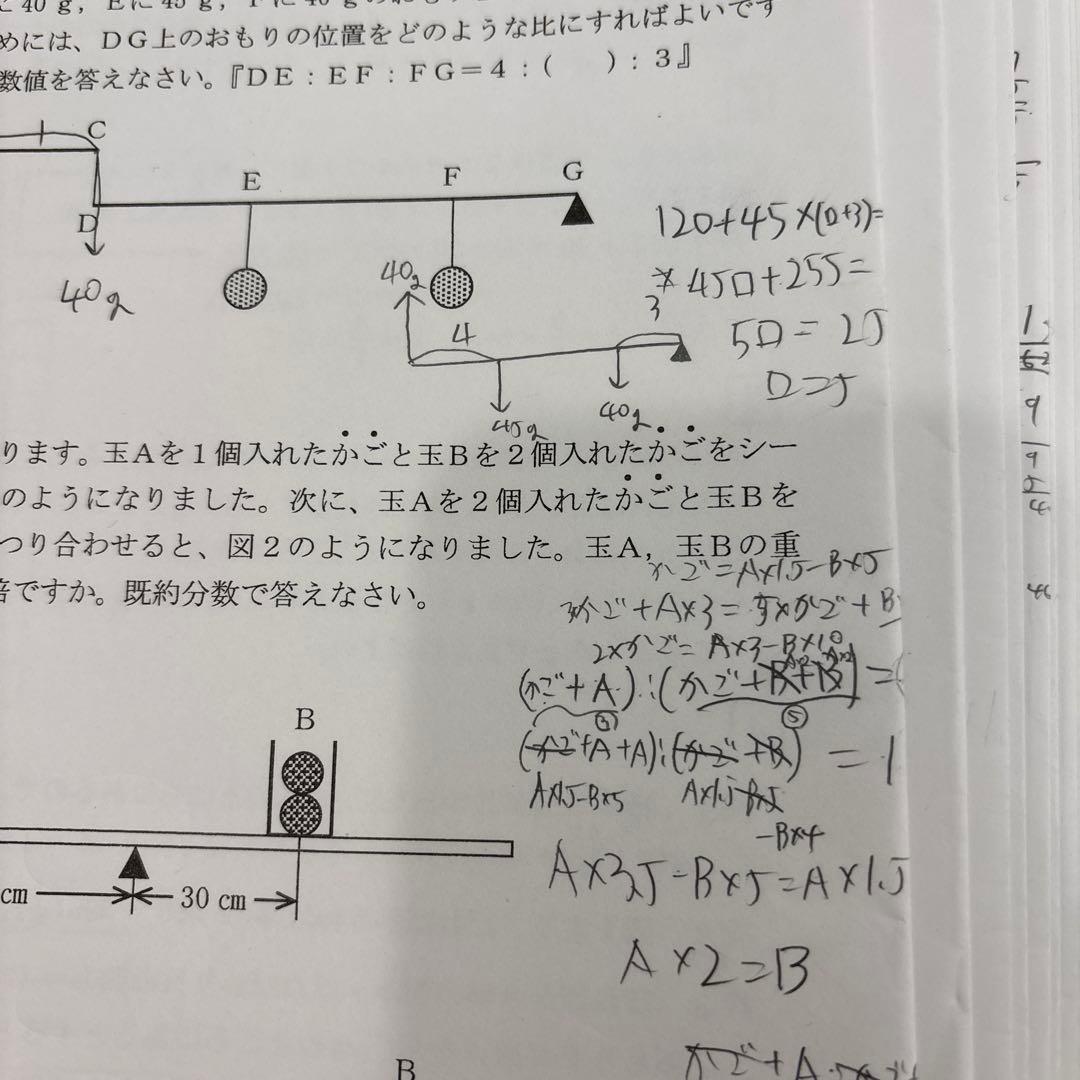 浜学園　小6 最高レベル特訓　理科　2024年度　テキスト　確認テスト