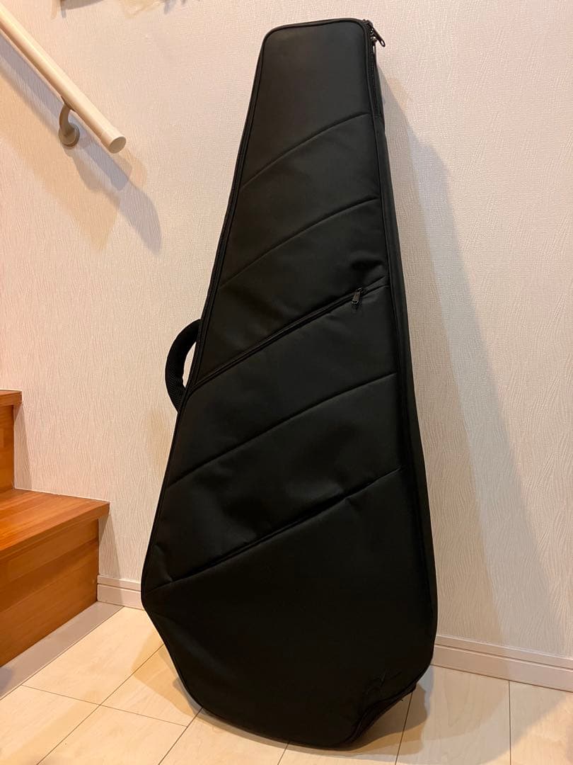 HEX Guitars NB505 Ivory 中古