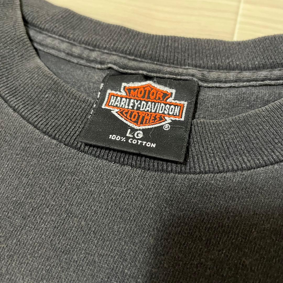 HARLEY-DAVIDSON UNTAMED ロングスリーブTシャツ