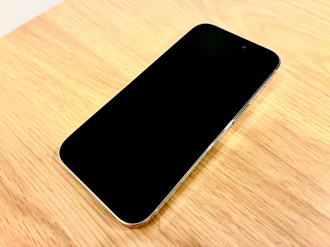 【美品】iPhone14 Pro 256GB シャッター音無し 専用ケース付き