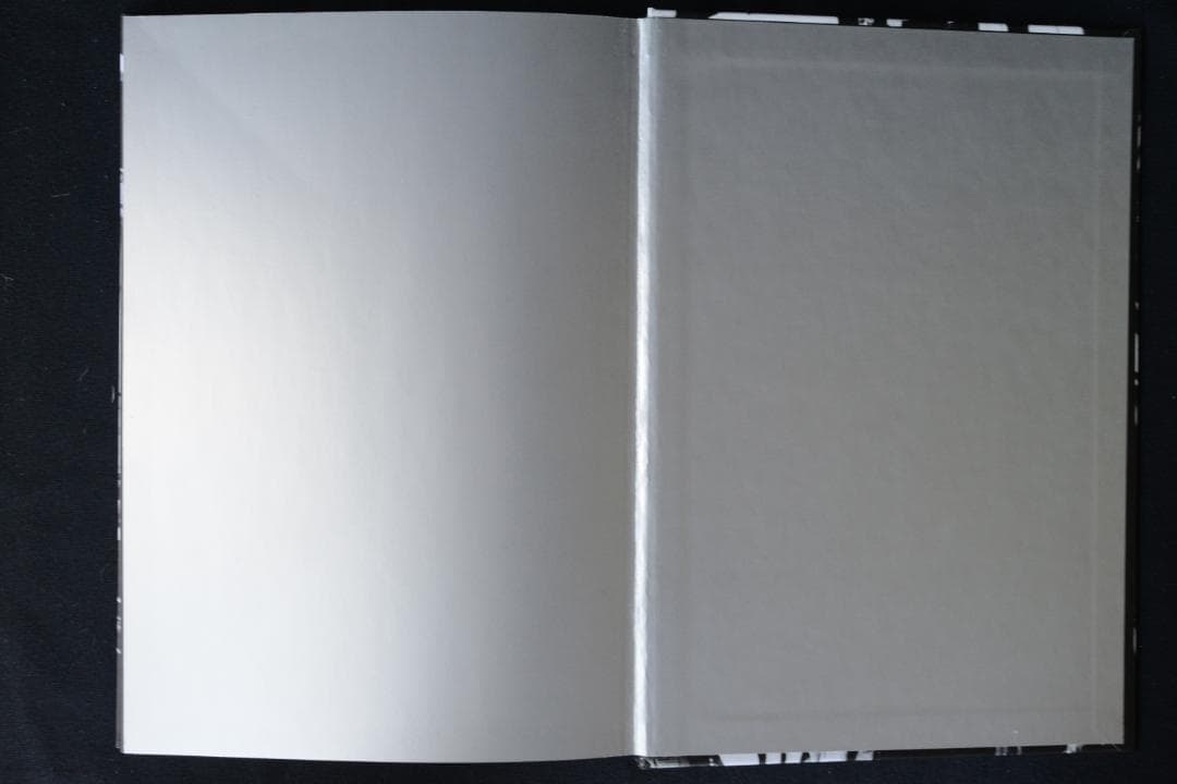 【TOKYO：Daido Moriyama】2005年