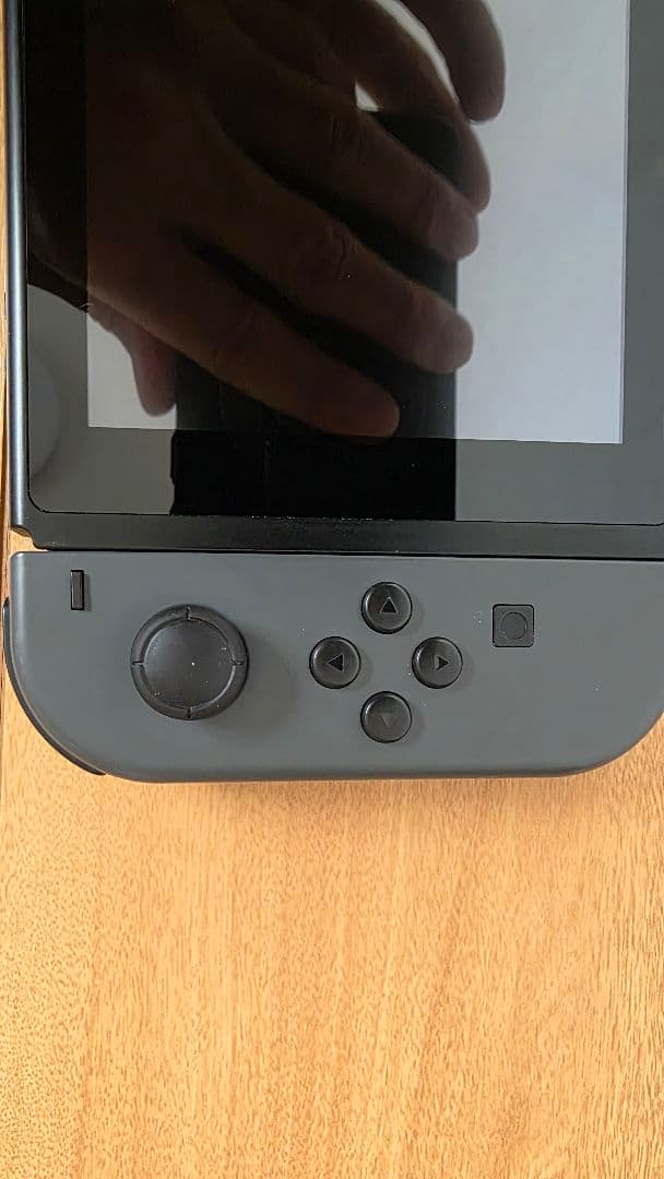 Nintendo Switch 本体 グレー （おまけ…プロコン付き）