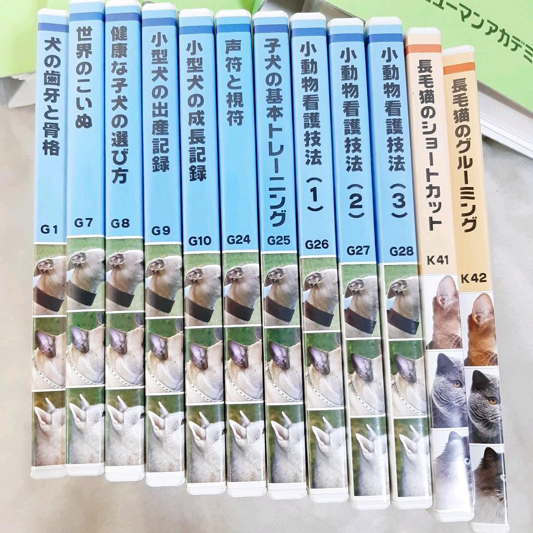 キャットケアスペシャリスト 看護・介護士プラス講座 教材セット一式