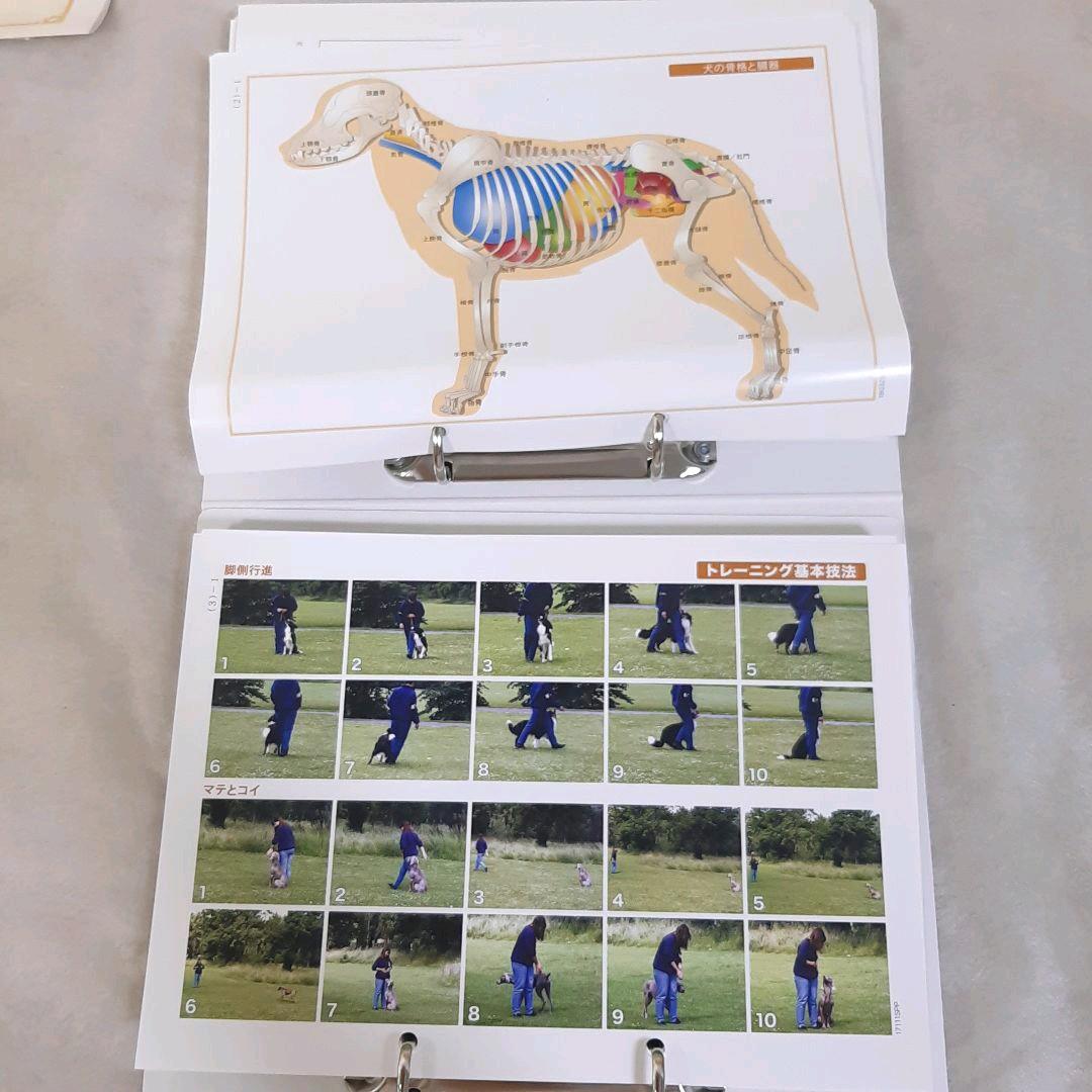 キャットケアスペシャリスト 看護・介護士プラス講座 教材セット一式