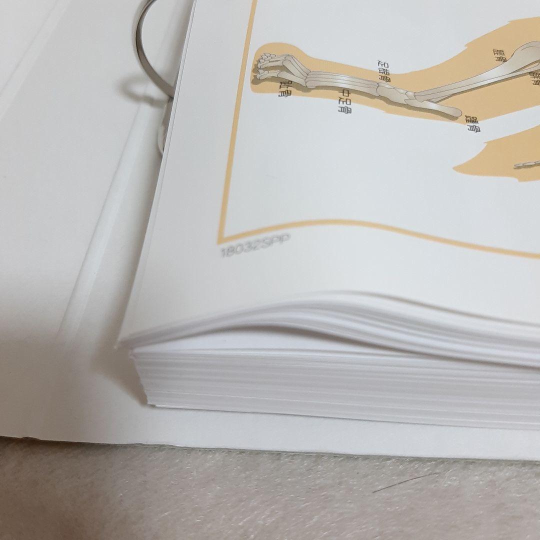 キャットケアスペシャリスト 看護・介護士プラス講座 教材セット一式