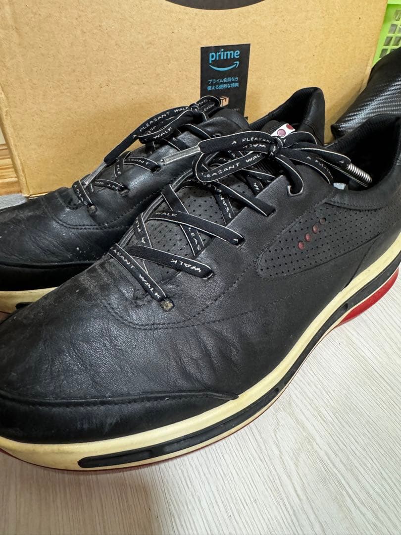 ECCO GORE-TEX ゴルフシューズ 黒