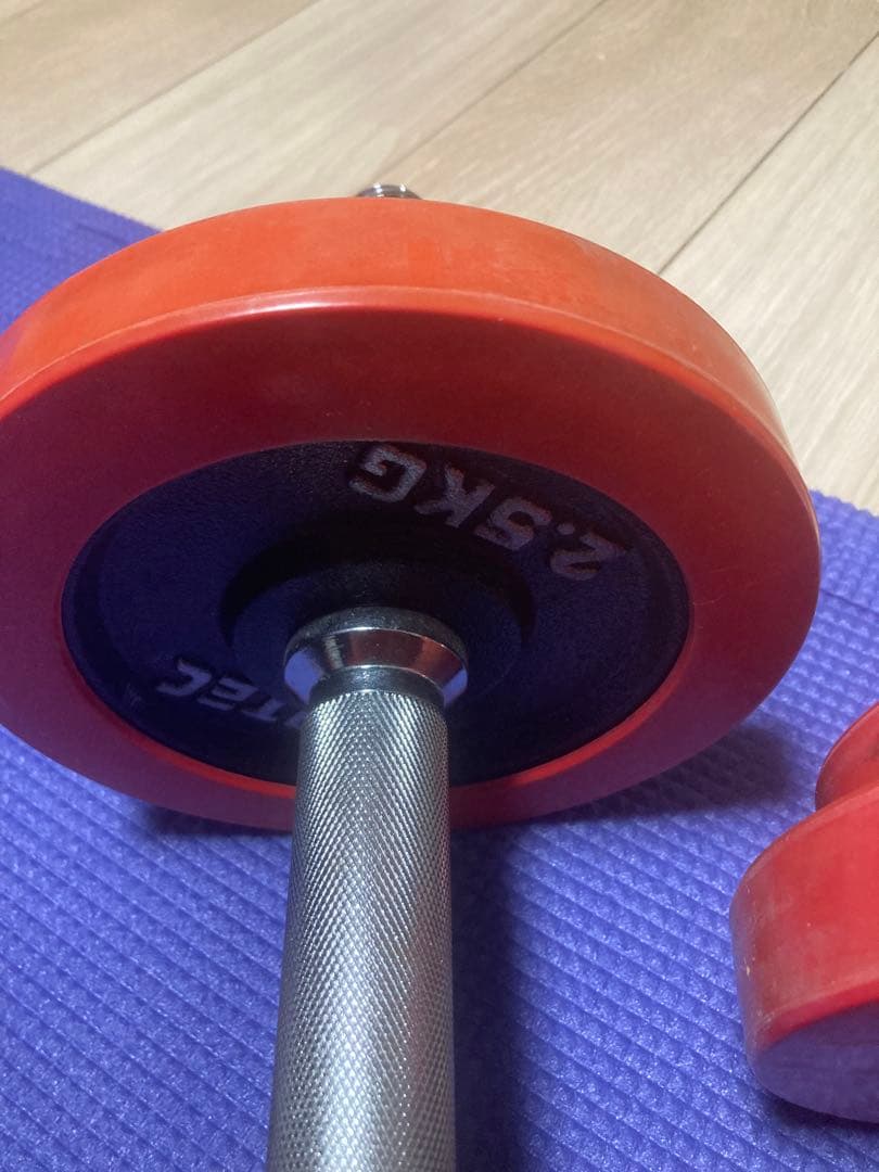 アイロテック　IROTEC ラバー付きダンベル　ダンベルプレート　20kg筋トレ