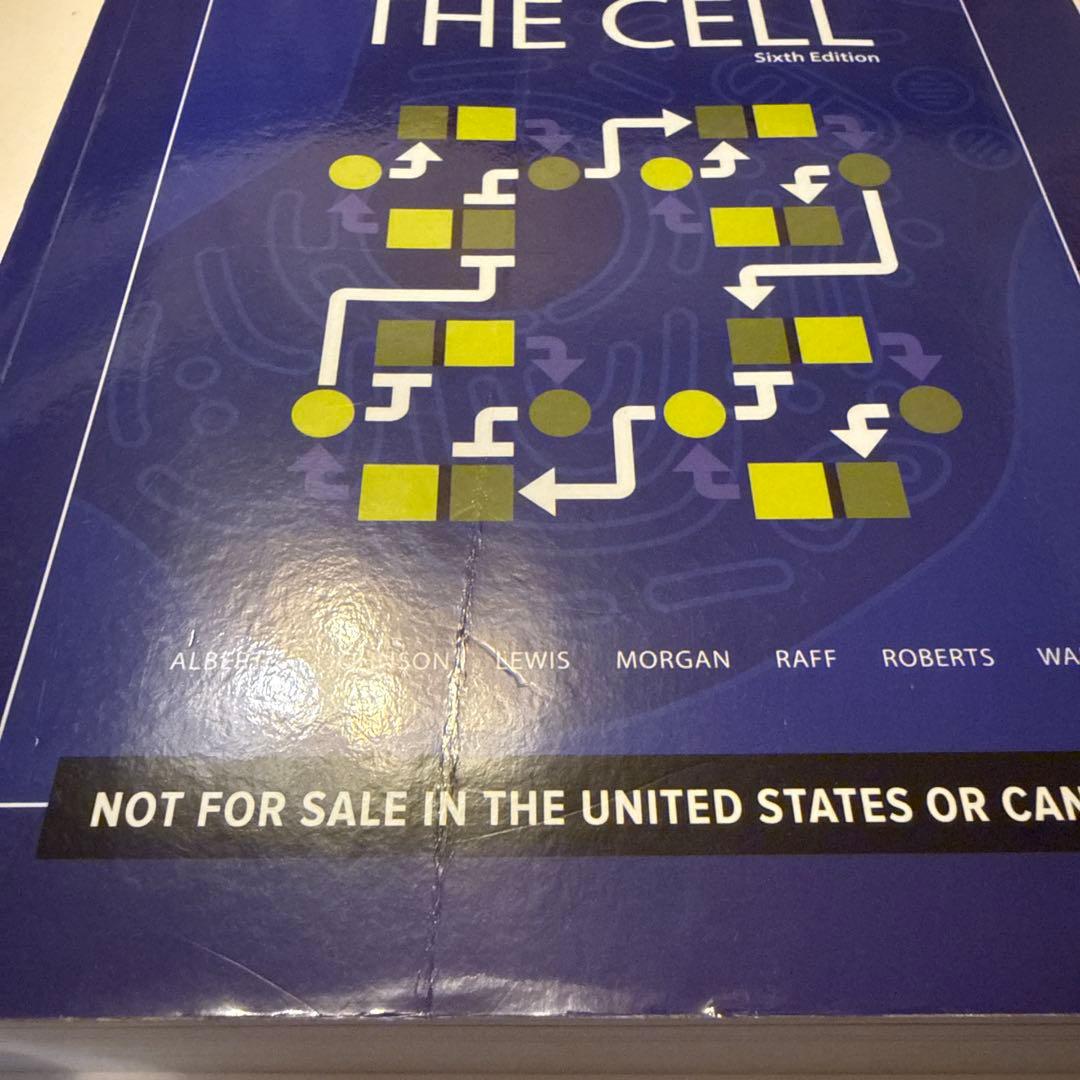 Molecular Biology of THE CELL 第6版 国際学生版