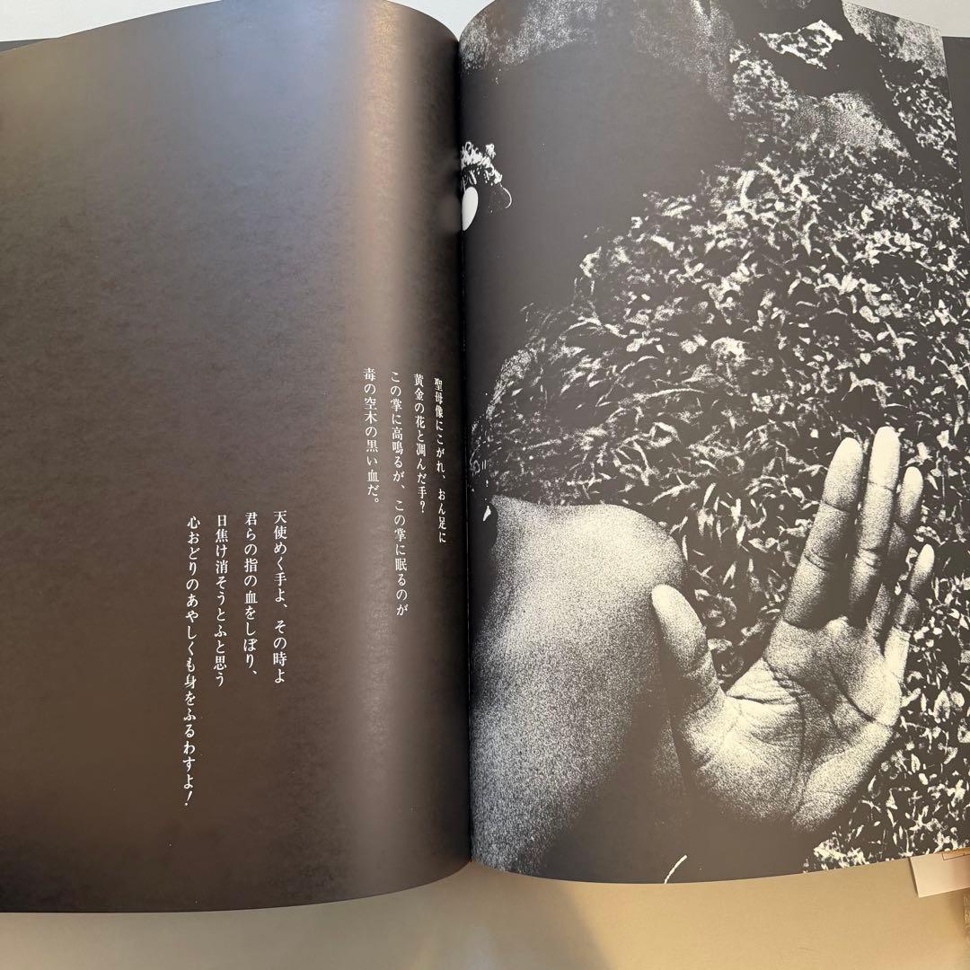 若林のぶゆき 写真集 黒い太陽 1971年初版発行 限定300部