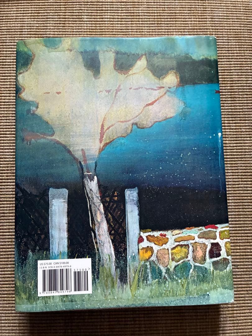 PETER DOIG ピーター・ドイグ 作品集 画集 具象画 オールカラー