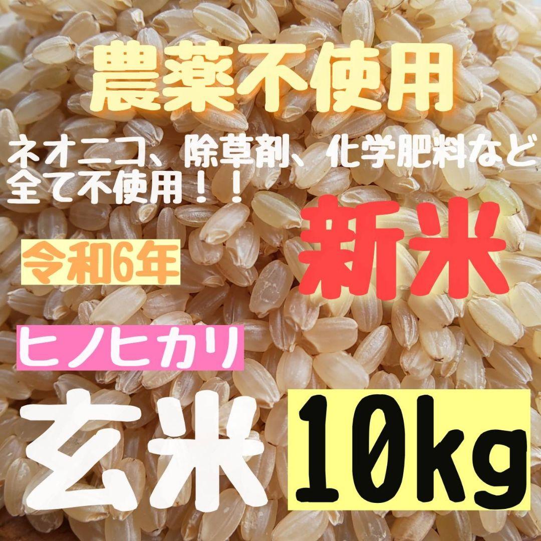 【綺麗な大粒揃い】農薬不使用 化学肥料不使用 ヒノヒカリ 玄米 10kg