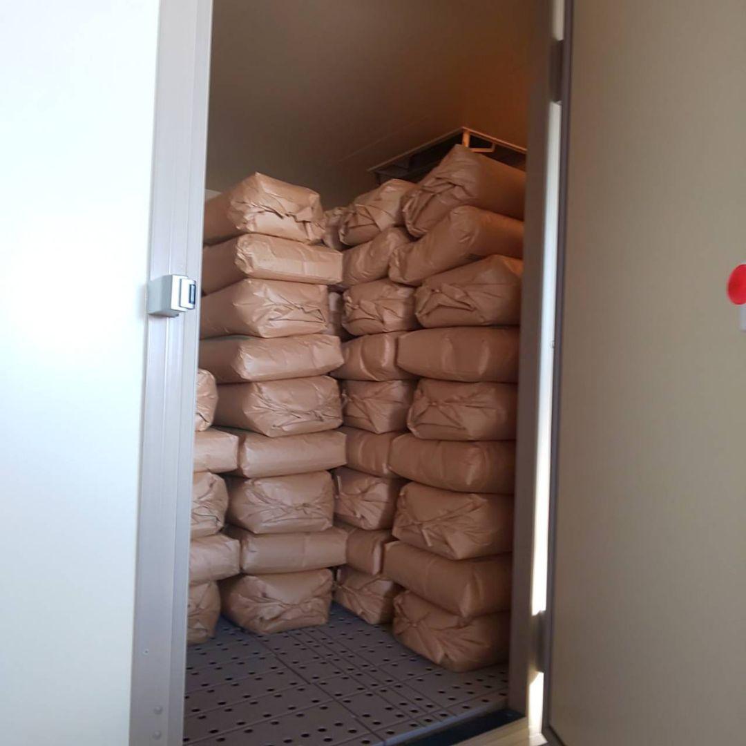 【綺麗な大粒揃い】農薬不使用 化学肥料不使用 ヒノヒカリ 玄米 10kg