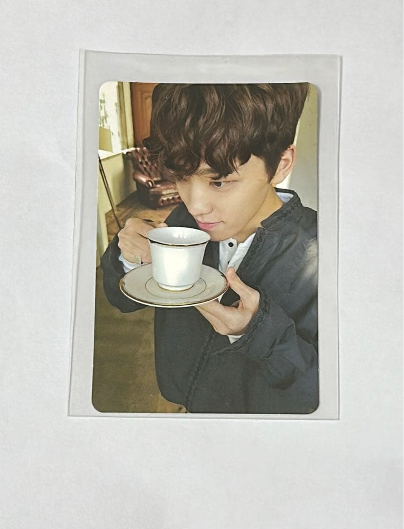 SEVENTEEN セブチ ディノ トレカ