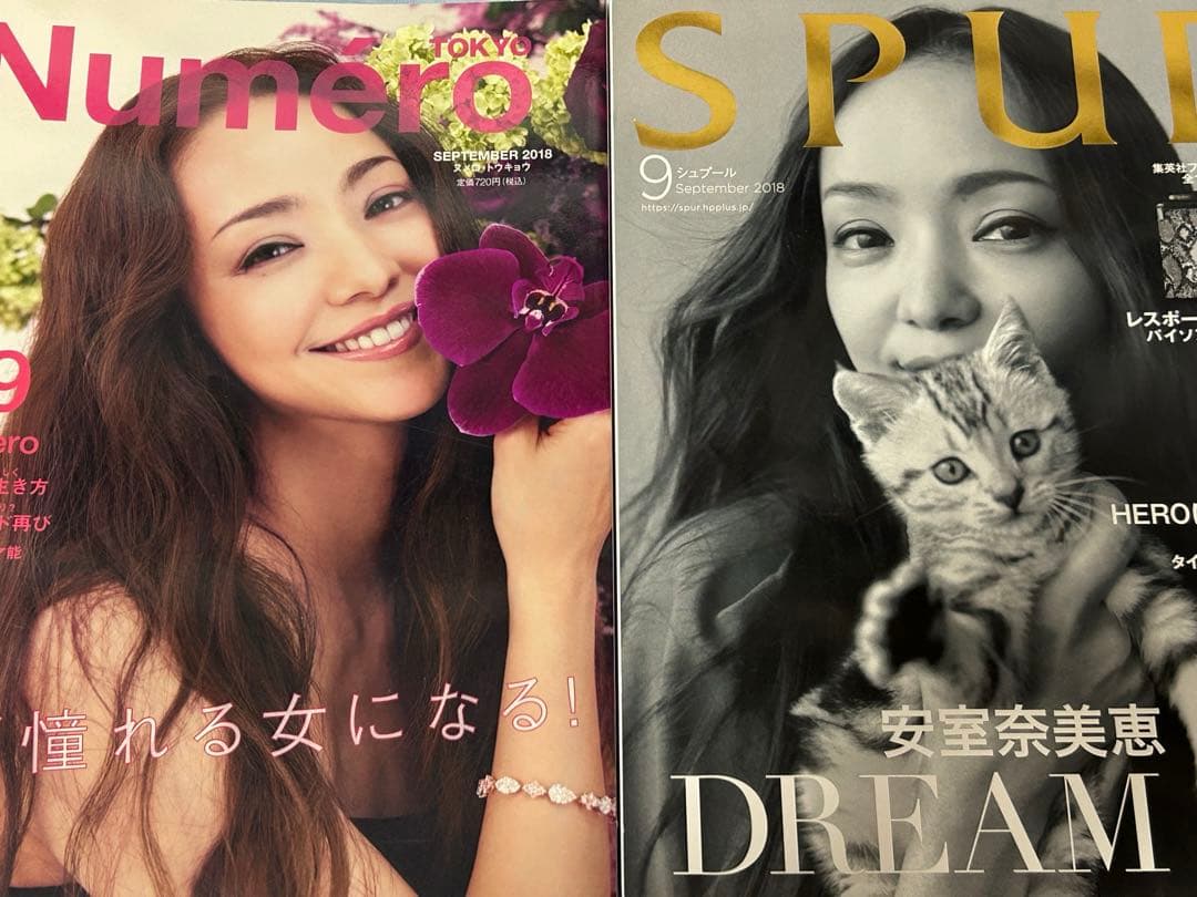 安室奈美恵表紙の雑誌14点(バラ売り可)