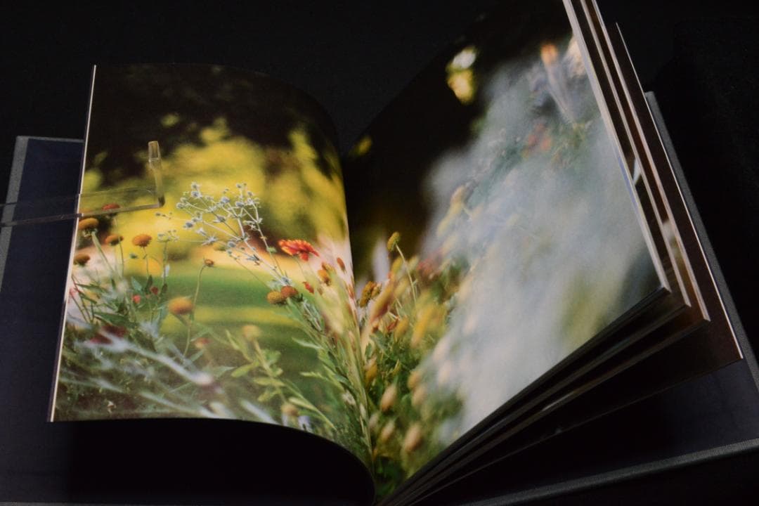 Terri Weifenbach: Another Summer ★★値下げした