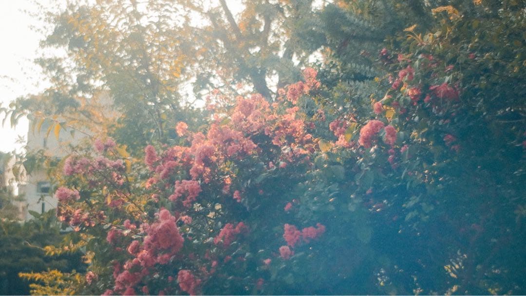 Elmar 90mm f4 All Chrome オールクローム