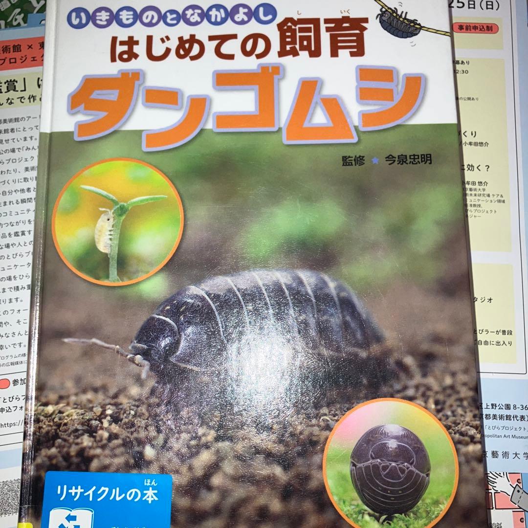 ダンゴムシ (いきものとなかよしはじめての飼育)