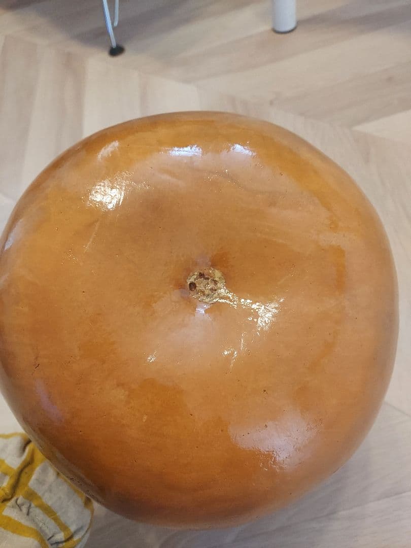 フラダンス　イプ　 赤緑花柄袋付き