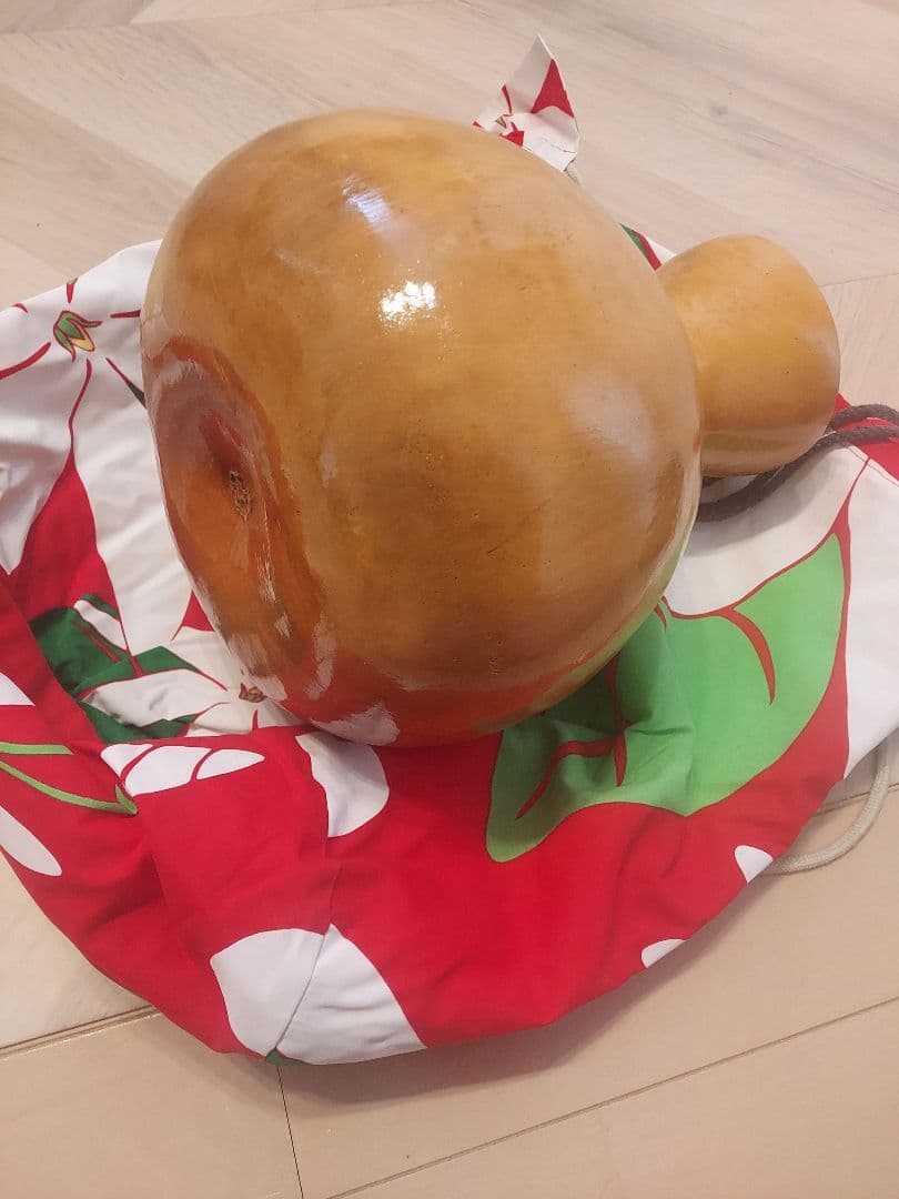 フラダンス　イプ　 赤緑花柄袋付き