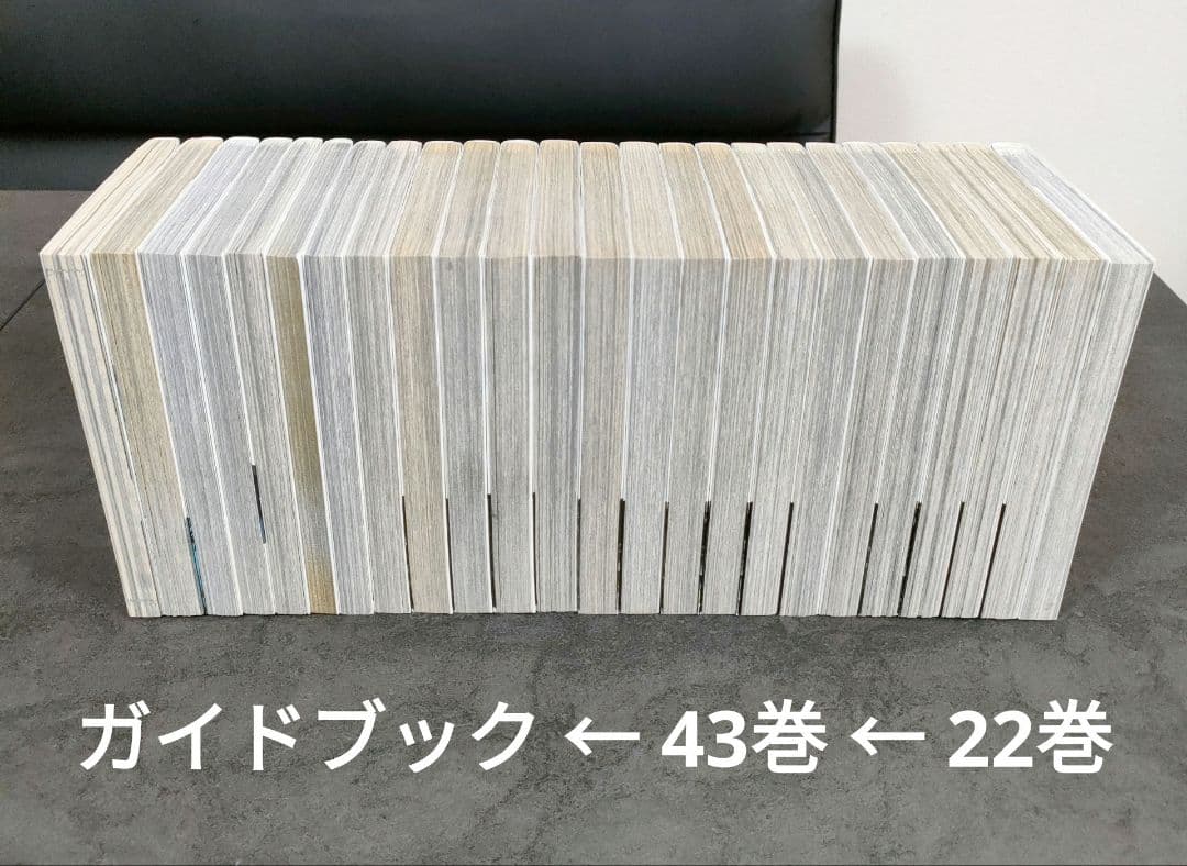 ★良品★ ベルセルク　新装版　全43巻+ガイド+ギガントマキア　全巻セット　名作