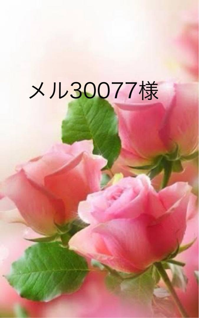 ＊メル30077ぺージ＊