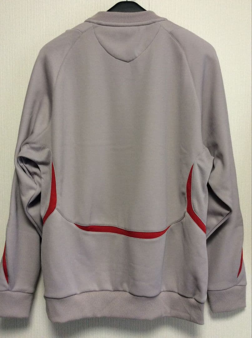 サッカー ウェールズ代表 2008 Champion スウェット フリース 長袖