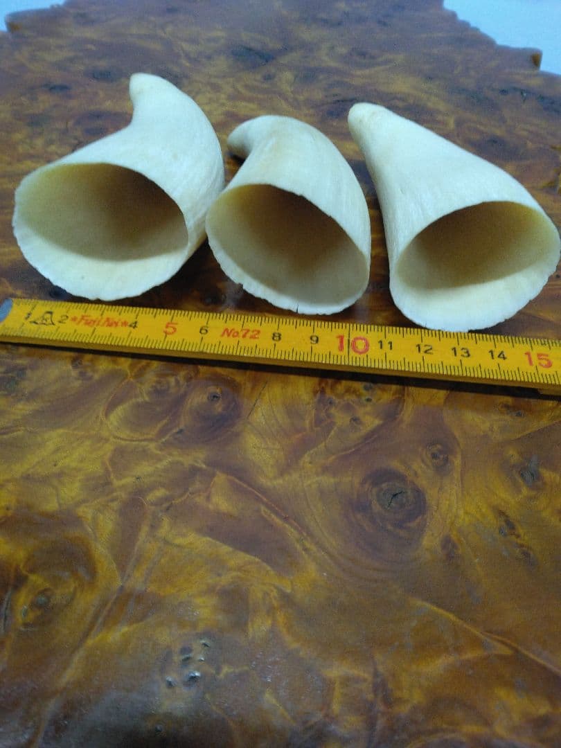 鯨歯　マッコウクジラ　細工素材 根付け　ペンダント　工芸品に