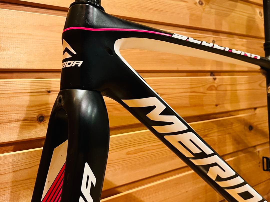 A*o様 メリダ MERIDA スクルトゥーラ Scultura チーム tea