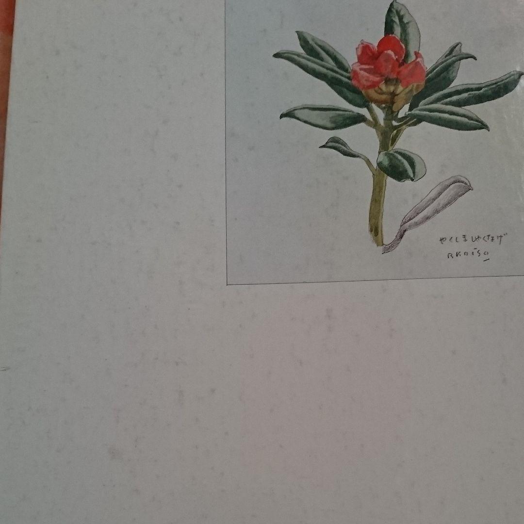 小磯良平 現代日本素材描全集 9