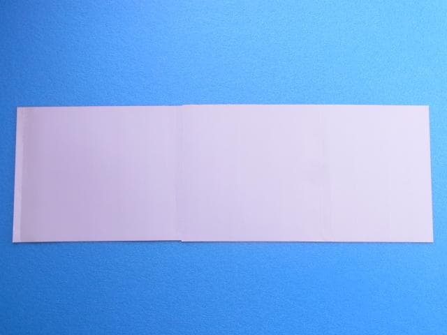 非売品　バーガーバーガー2　プレイステーション　PS　ダミージャケット　販促品