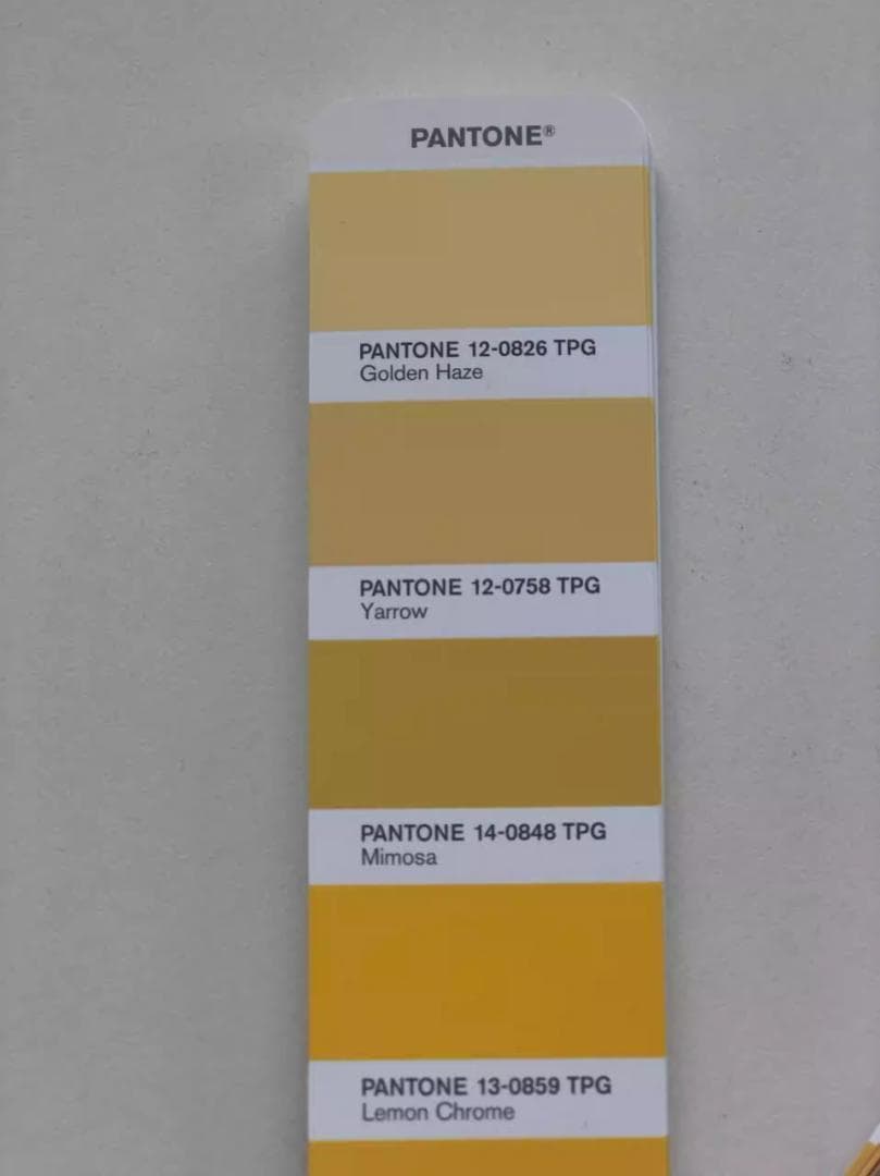 PANTONE TPG FHI + 新色 増補版　FHIP110C 新品・未開封