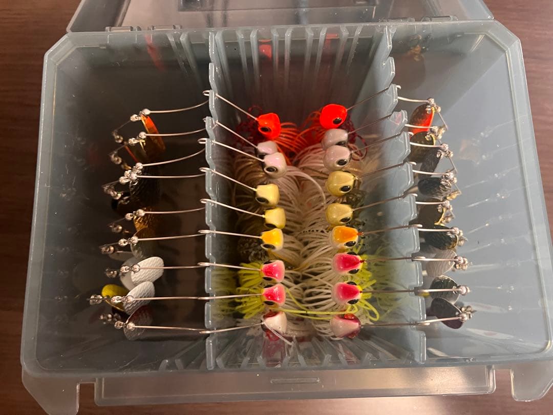 D-ZONE D-ゾーン　エバーグリーン