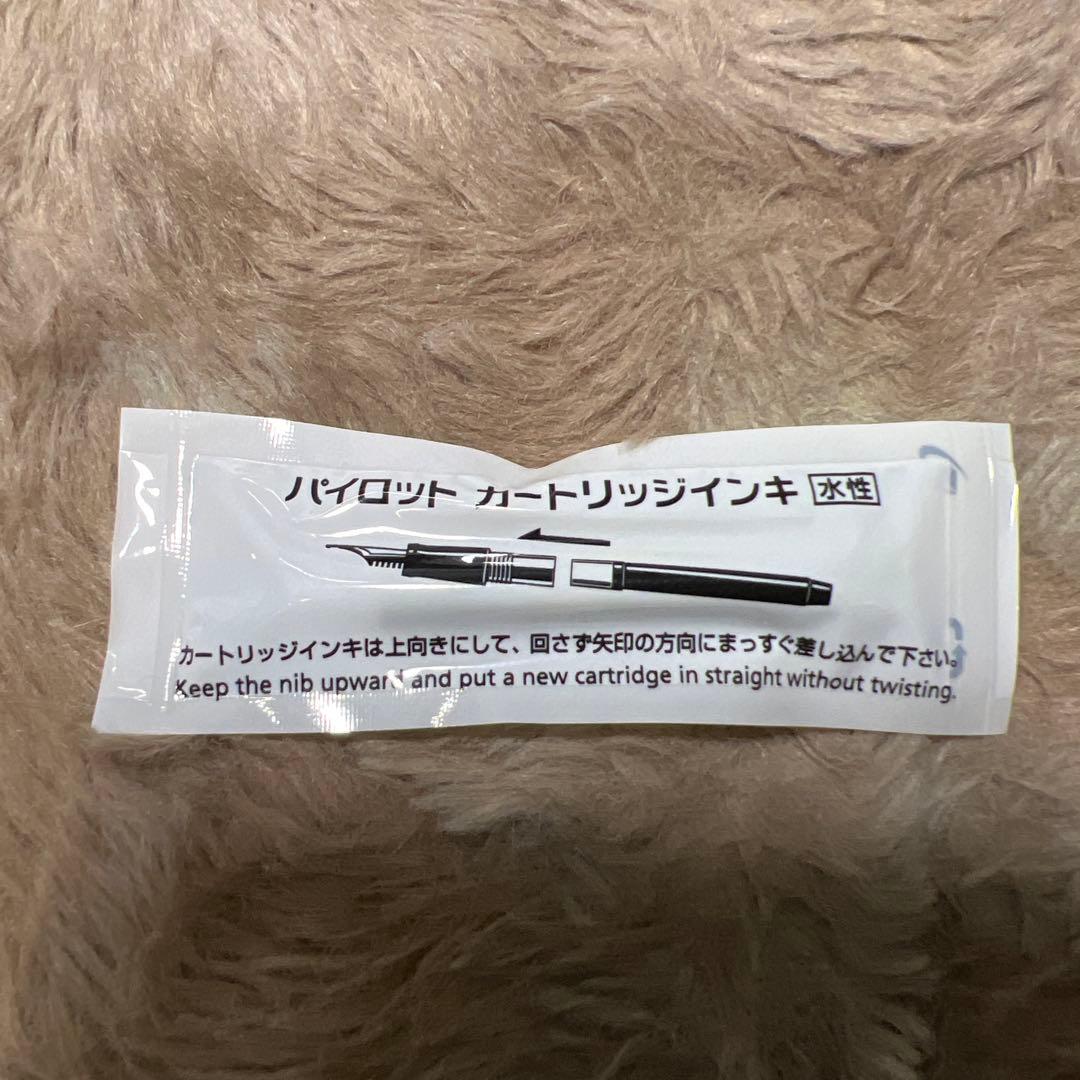 パイロット 万年筆 キャップレスデシモ FCT15SRGYF ダークグレーマイカ