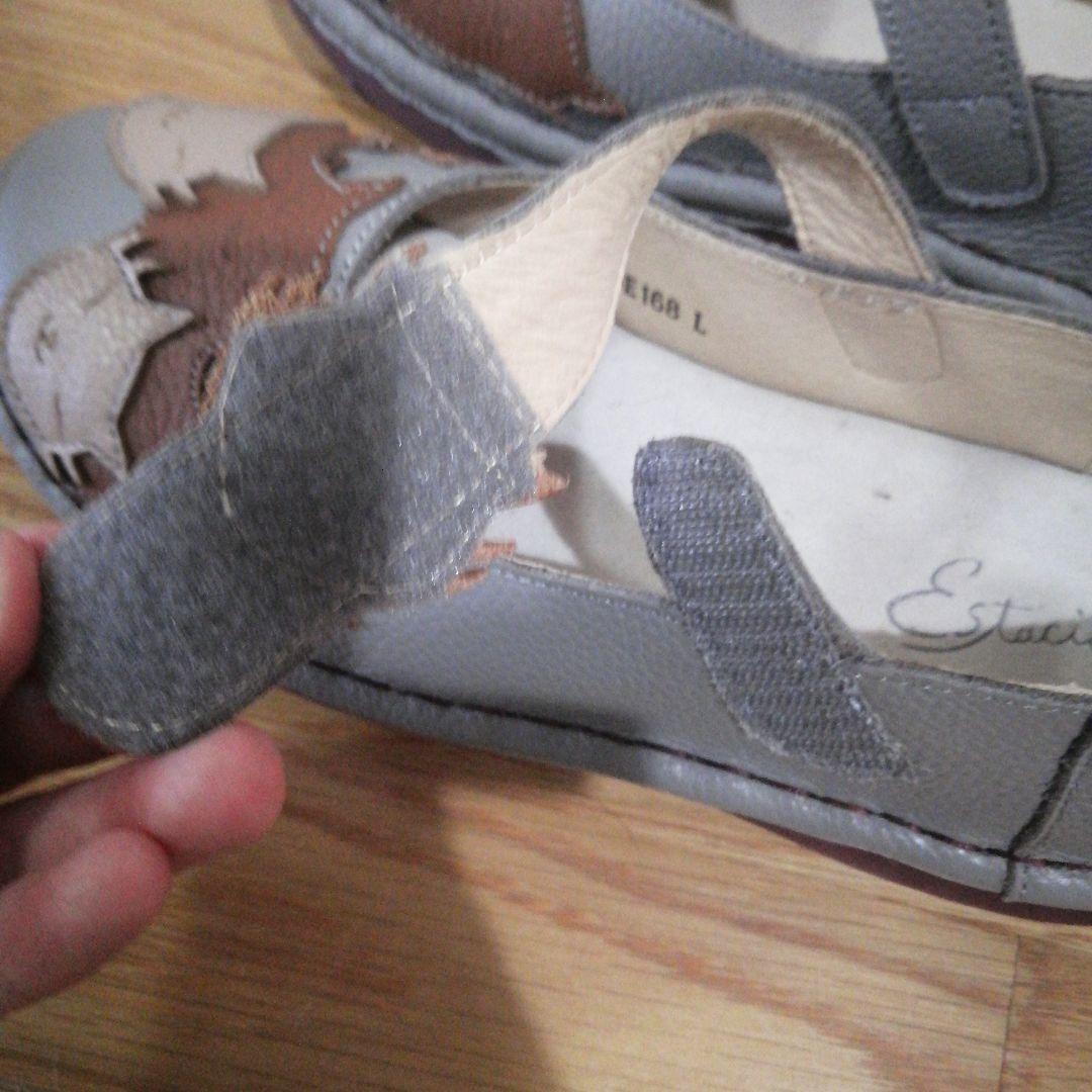 エスタシオン　猫　靴　Lサイズ